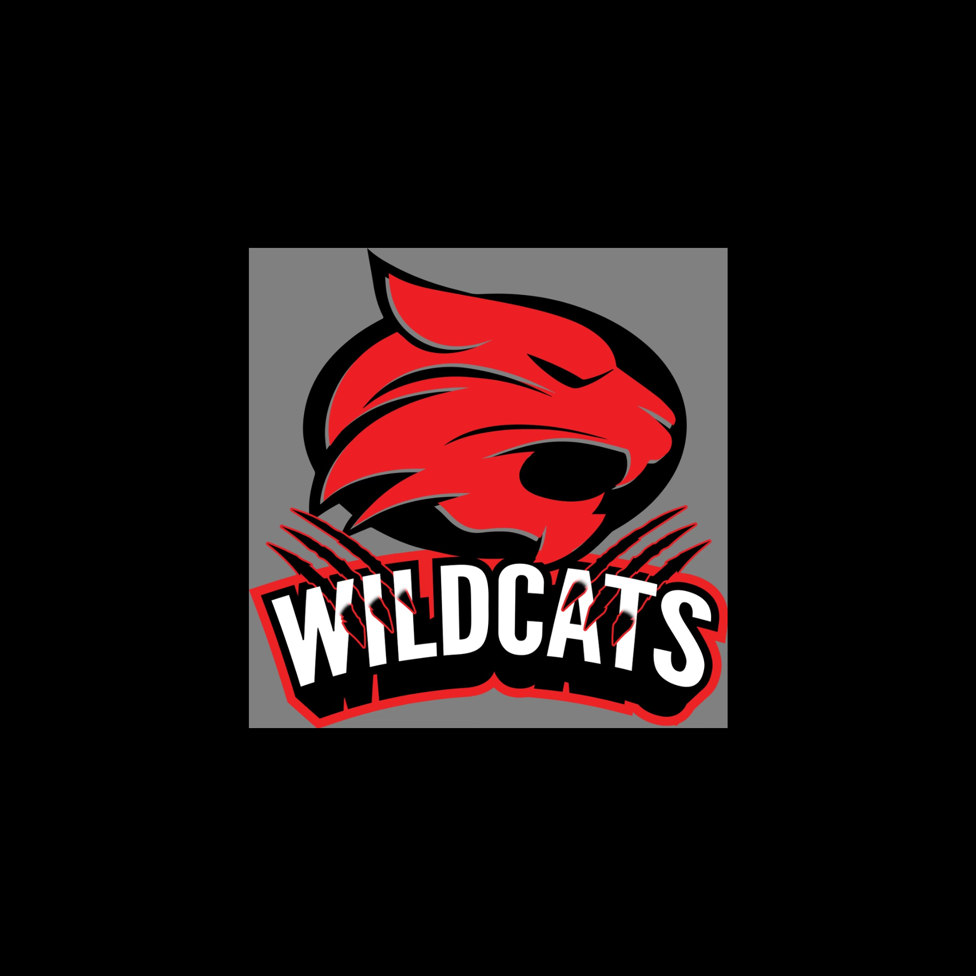 Wildcats Elite 12U  Wildcats Elite